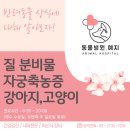 동물병원예지 | [영등포구 동물병원-동물병원.예지] 암컷 강아지, 고양이 자궁축농증에 대해서 알아보아요.