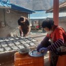 씨없는곶감마을 이미지