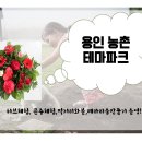 상신리5도2촌추진위원회 네이버블로그