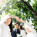 정이생(하) 이미지