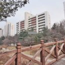 분당-211 이미지