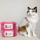 미스터덴트 | 강아지 고양이 물티슈, 눈꼽 턱드름 케어 허레이 에센셜 펫티슈