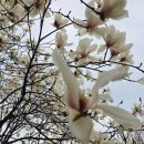 개화주유소 개방화장실 이미지