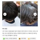 여성헤어(커트부터 염색,파마까지)(야) | [송파미용실] 60대 중년 새치 염색 보브 커트 잘하는 석촌역미용실 추천 미미헤어&amp;그랜드가발