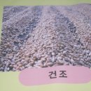 군산도정공장