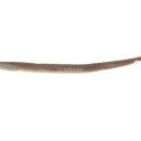 칠성장어 이미지