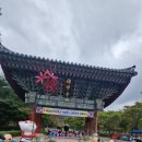 영광 불갑사 대웅전 | 영광 불갑사 경내 탐방 천년의 세월이 머문 대웅전과 극락전의 고요함