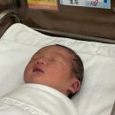 행정용 3 | 쉬즈메디 초산모 제왕후기 3일차 행정신고, 가슴마사지