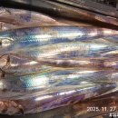 11월27일 (목) 철수 여수 뉴패밀리호 갈치 조황. 이미지