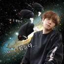 X랜드 이미지
