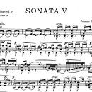 손 혈자리 수지요법 이미지