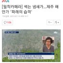 제주도 파래의습격...태풍피해복구에도 국제위러브유운동본부(장길자 회장)가 앞장서겠습니다. 이미지