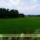 중흥리 이미지