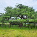 소고 펜션 이미지