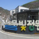 충남 금산 홍도화여행 #1 이미지