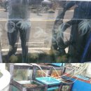 풍전쭈꾸미 이미지