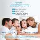 하이디코리아 이미지