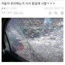 드림자동차유리