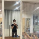 호이떡볶이