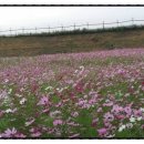 다산행정사사무소 이미지