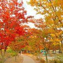 반야월역사 작은도서관 이미지