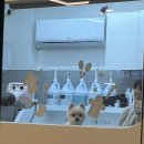 멍무이 쌀롱 이미지