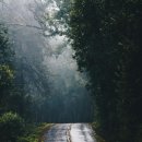 우리는 어떤 길 위에 서 있는가? - 부의 추월차선 독서후기