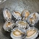 전복총각 | 완도총각네수산물 활전복 손질법 전복 회 전복죽 레시피 내돈내산 후기