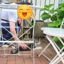 파발로 | 고양이도 만날 수 있는 감성 브런치 카페, 경기 광주 머메이드레시피 데이트 후기 🩵🐈