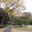 도쿄 여행9 - 리쿠기엔 정원을 보고 도쿄대학을 찾아가다! 이미지