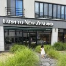 용전4로2길 | 4년째 단골 율곡동 파스타맛집 “팜투뉴질랜드” 내돈내산 후기