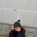 안경코디 이미지