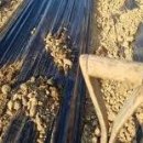 삼동농장 이미지