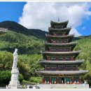 무안영산 이미지