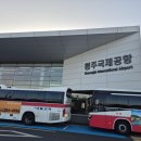 제주벨루가 | ✈️ 제주 ✈️ 가족여행 다녀왔습니다. ㅎ... < 1일차 >