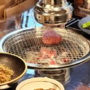 검탄소 이미지
