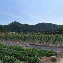 덕둔지농장 이미지