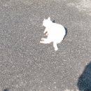 쉼371 이미지