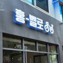 홍벨로