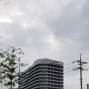 시골장터 돼지국밥 이미지