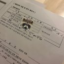 교회 결혼식 : 준비부터 본식까지 과정 공개 (+라온예손)