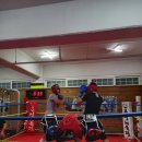 진해 복싱체육관 이미지