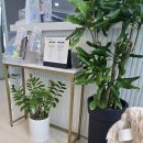 노원 강북예치과병원 이미지