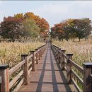 갈대습지공원 이미지