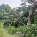 보한경모정 이미지