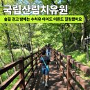 국립산림치유원 수치유 프로그램 후기 아이와 다녀온 영주 숲길 1박2일 힐링여행