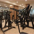 쏘마휘트니스 이미지