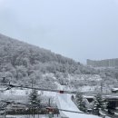 비비큐(사북고한점) 이미지