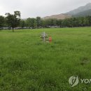 정수연임대 이미지