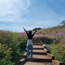 에스티알엘(Strl)호텔 이미지